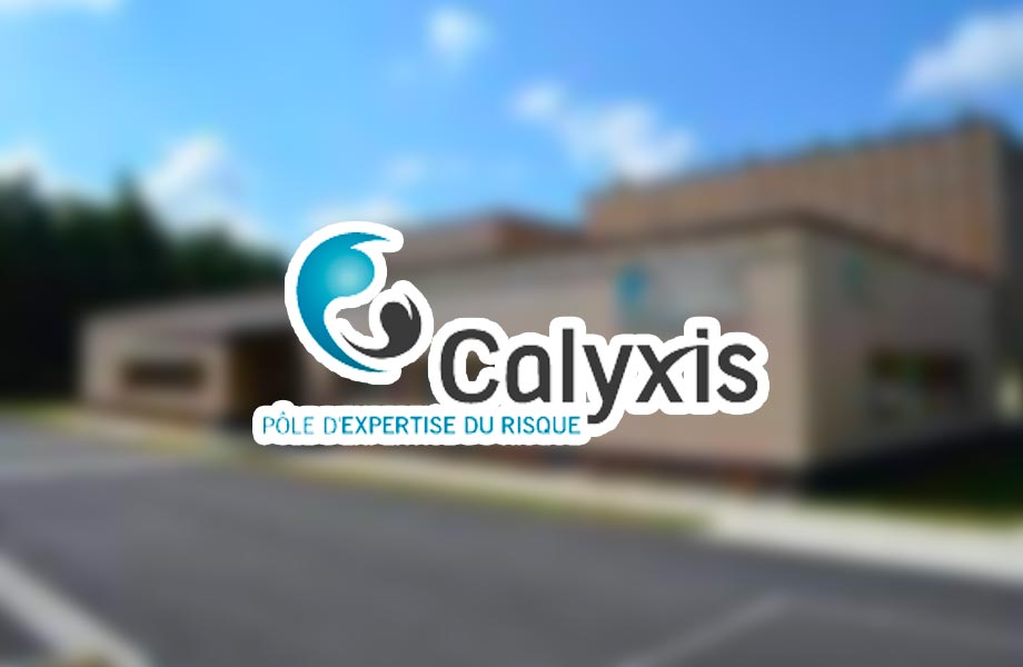 Qui fait quoi : CALYXIS (diagnostiqueur)